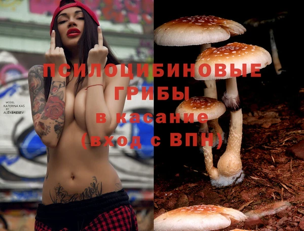альфа пвп Куйбышев