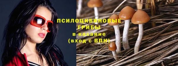 ECSTASY Красноперекопск